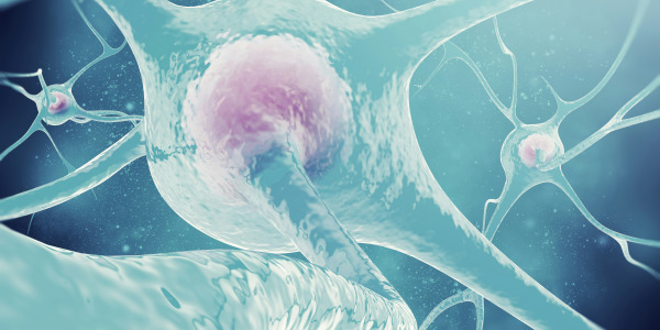 Est-ce que le baume CBD peut calmer les douleurs neuropathiques ?